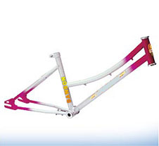 Bicycle Frame